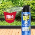 thumbnail image 4 of Raid Mosquito and Fly Insect Killer, for Indoor and Outdoor Use, 350g, 4 of 8