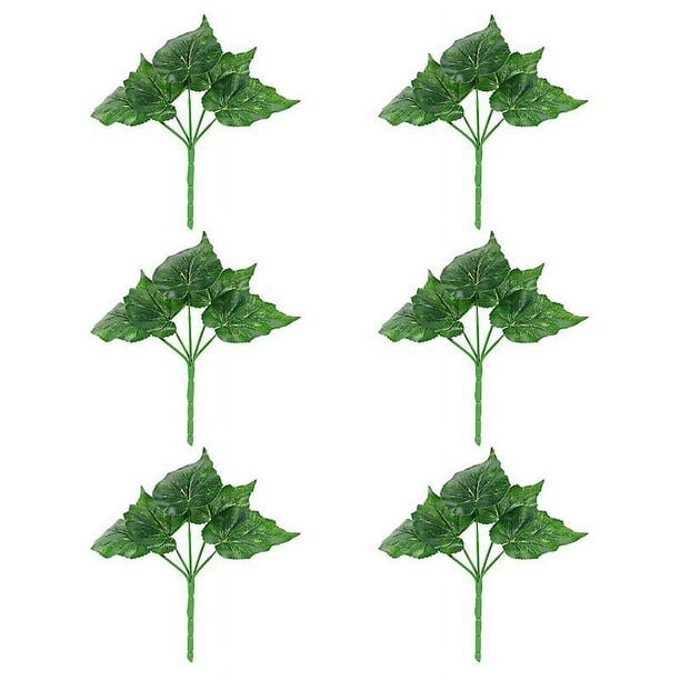6 mini bonsais Allinless en maceta verde