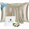 thumbnail image 1 of Chenchen Silk Pillow Cases with Zipper, 21momme Mulberry Silk Pillowcase for Hair Skin Health, Soft Smooth Breathable Cool Pillow Cover for Beauty Sleep with Gift Box 1PC(Standard 20"x26", Taupe), 1 of 1