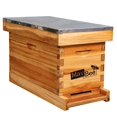 thumbnail image 1 of Kit de caja nuc de 5 cuadros MayBee para colmena, recubierta de cera, 1 of 7