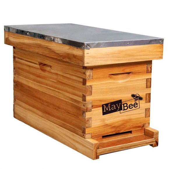 Kit de caja nuc de 5 cuadros MayBee para colmena, recubierta de cera
