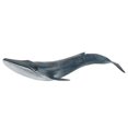 thumbnail image 1 of Fish Model Home Decor Educational Kid Cute Simulation Miniature Animal Toy, 1 of 4