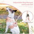 thumbnail image 4 of Small Dog Harness and Leash Set No Pull Puppy Harness Step-in Adjustable Puppy Cat Dog Vest Harnesses Soft Mesh Breathable Dog Harness Backpack Pet Harness for Puppies Small Medium Dogs, 4 of 7