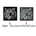 thumbnail image 2 of Colorful Animal Diamond Painting Kits Rhinestone Wall Decoration Embroidery Cross Stitch Arts Craft, 2 of 8