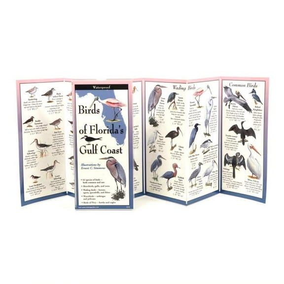 FoldingGuides: Birds of Florida's Gulf Coast (Other)