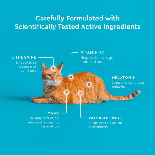 Vet IQ Calming Health Supplement for Cats, Chicken Flavored Crunchy Chews, Approx. 30 Day Supply