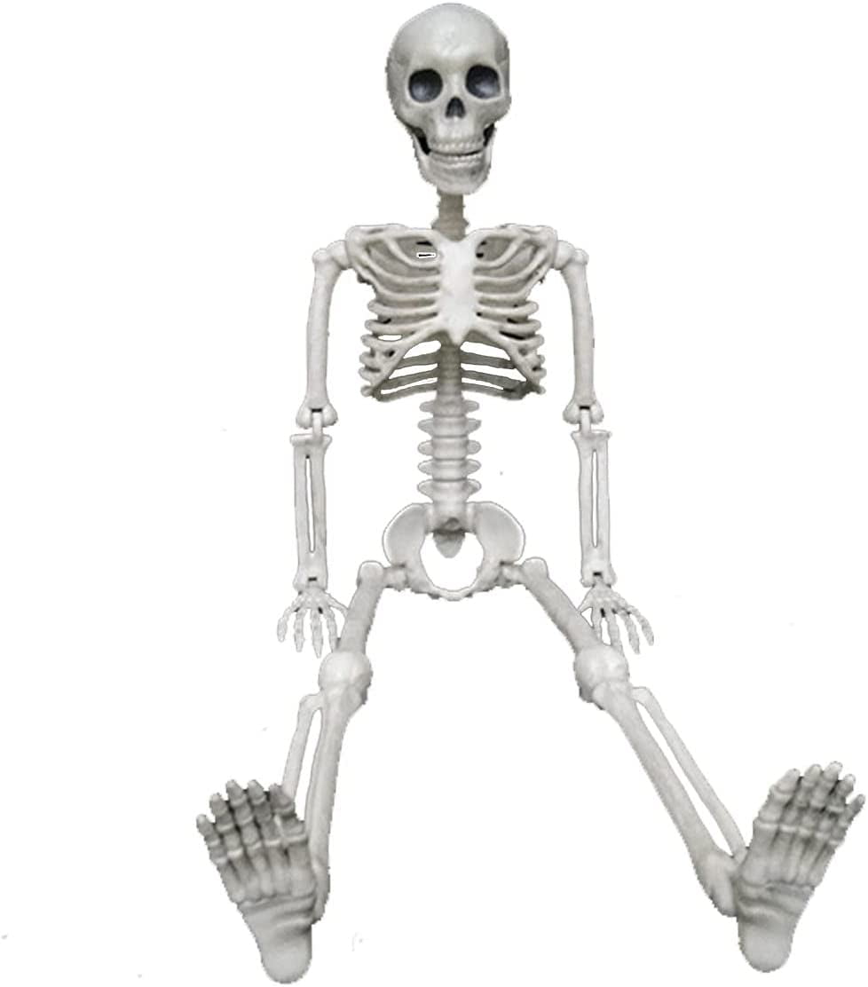 dosili Large Skeleton Halloween Realistic Full Body Human Skeleton