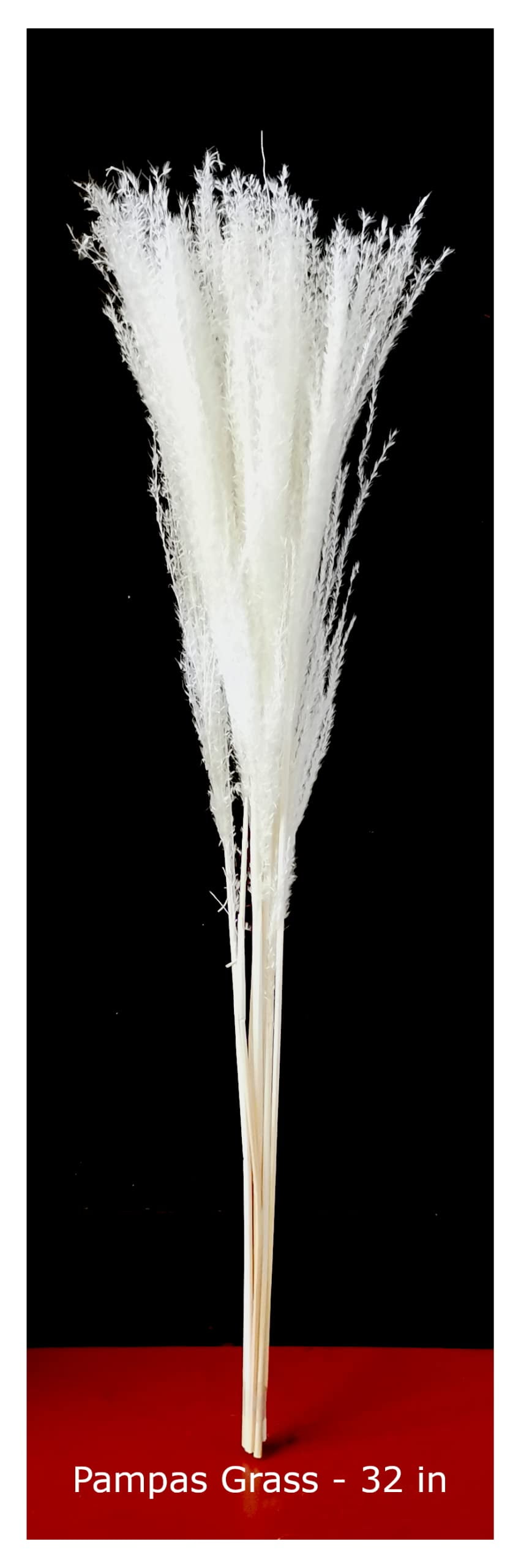 CalCastle Craft 20 Stems 26" Dried Natural Pampas Grass Pompous Grass Dried Flowers Wedding Home Decor (Pampas Grass Pure-White)