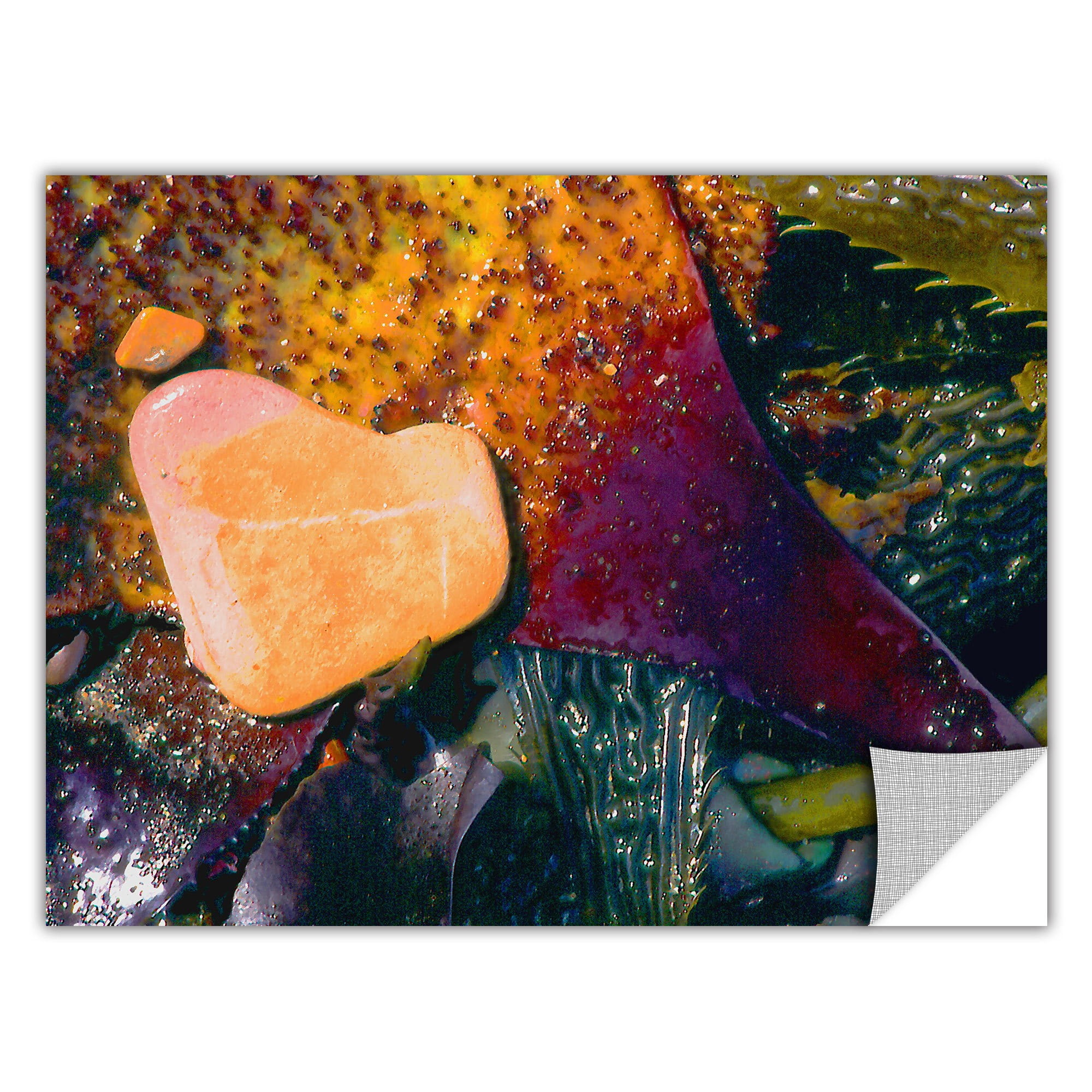 Dean Uhlinger "Pebbles On Kelp" Removable Wall Art