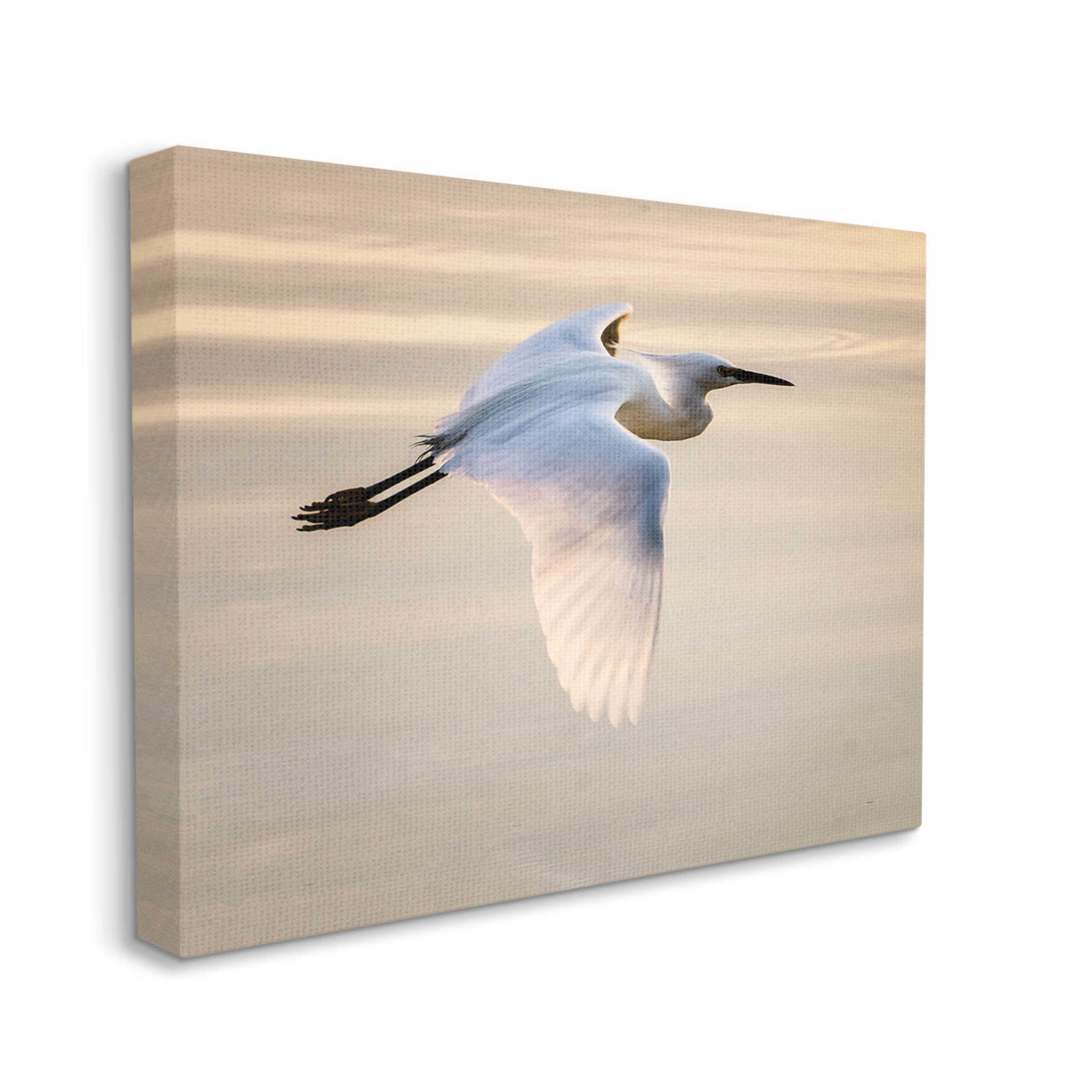 Egret Gliding Aerial View Animals & Insects Photograph Gallery Wrapped Canvas Print Wall Art