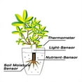 thumbnail image 2 of Monitor de Cuidado de Flores, Detector Inteligente de Fertilidad del Agua, Suelo, Césped y Plantas de Jardín para Jardinería de Flores, 2 of 7