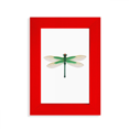 thumbnail image 1 of Traditional Chinese Kite Dragonfly Pattern Picture Display Art Red Photo Frame, 1 of 4