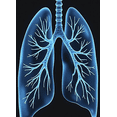 thumbnail image 4 of Anatomical Lungs Design Backdrop Banner Medical Theme Decorations Party Background for Health Events Science Exhibitions Medical Seminars Classroom Displays, 4 of 7