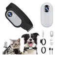 thumbnail image 1 of Cámara Hd 1080p De 1 Unidad Con Collar Para Perros Y Gatos, 1 of 8