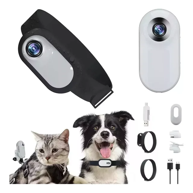 Cámara Hd 1080p De 1 Unidad Con Collar Para Perros Y Gatos