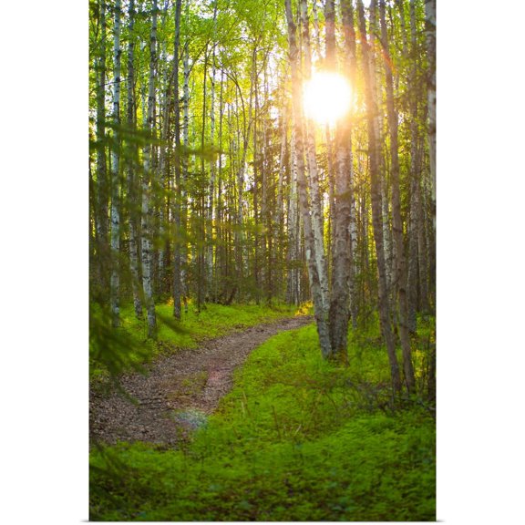 Great BIG Canvas | Rolled Michael Jones Poster Print entitled Sun Setting Behind Trees And Over A Path In Bicentennial Park, Alaska
