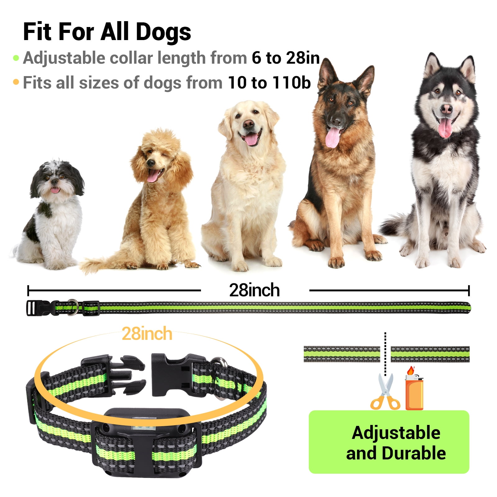 Bebang Dog Training Collars