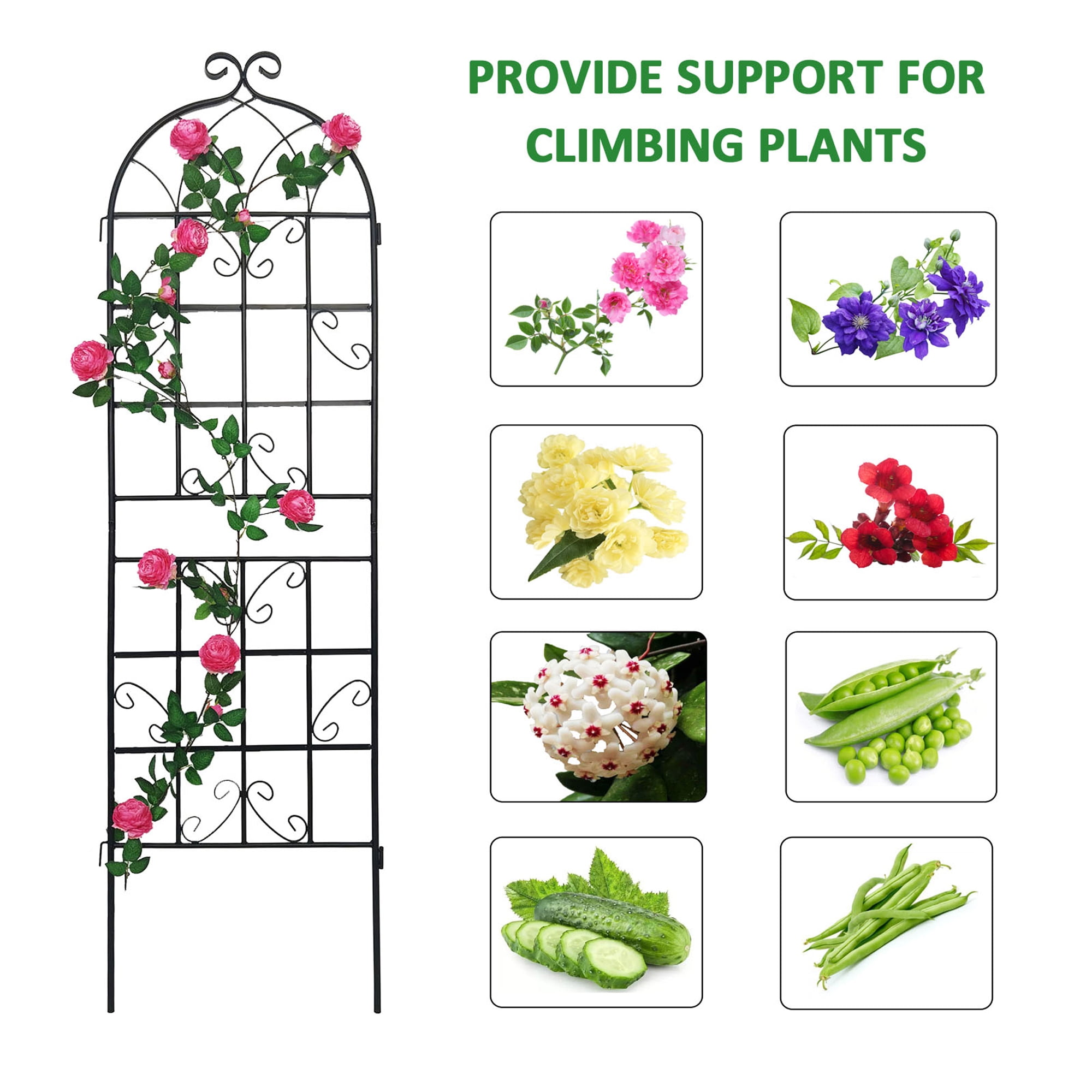 Miniyam 71" x 19.7" Metal Garden Trellis, 4 Pack Rustproof Trellis for Climbing Plants Outdoor Flower Support, Black