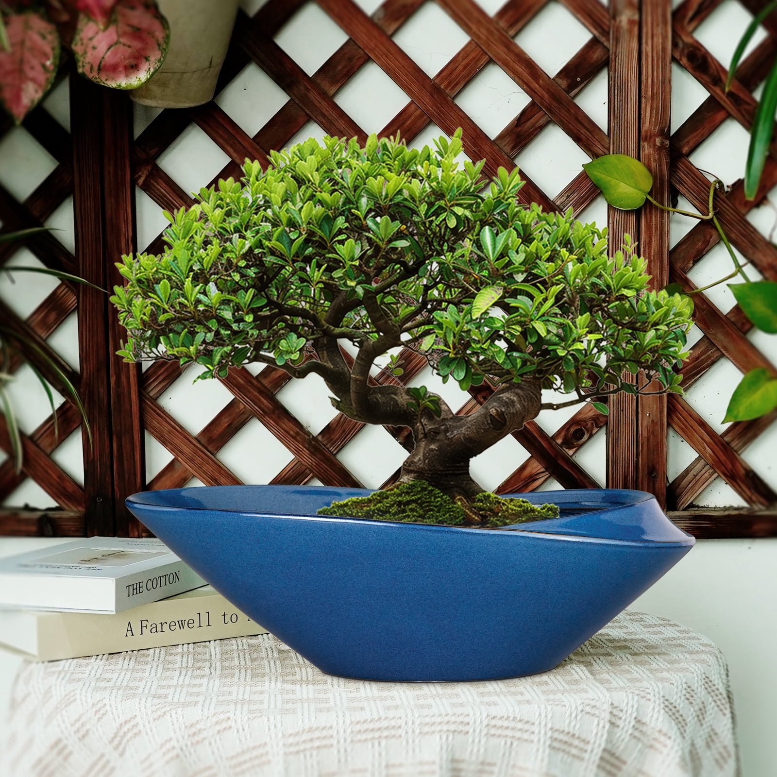 EPFamily 18 Inch Shallow Blue Ceramic Bonsai Planter with Drainage Hole – Extra Large Succulent Bowl Pot for Outdoor Plants, Patio, Garden