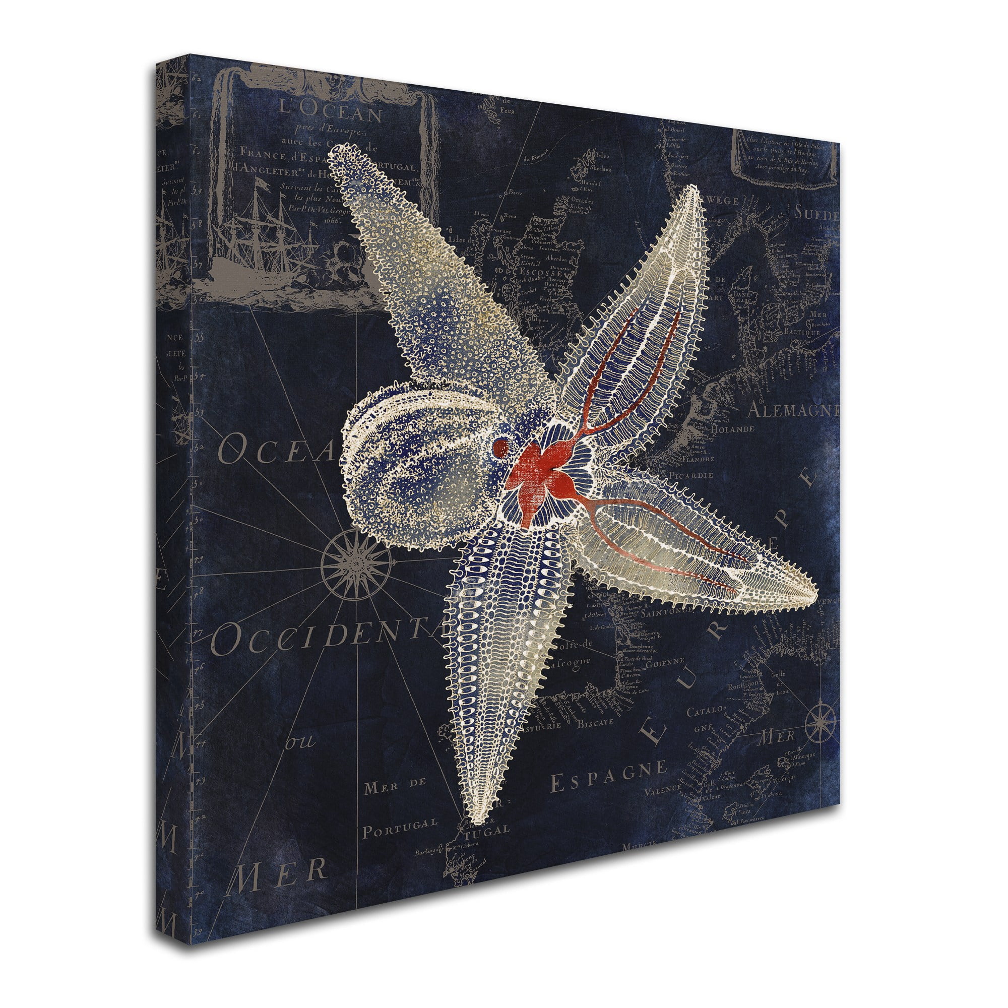 Trademark Fine Art "Maritime Blues IV" Canvas Art by Color Bakery