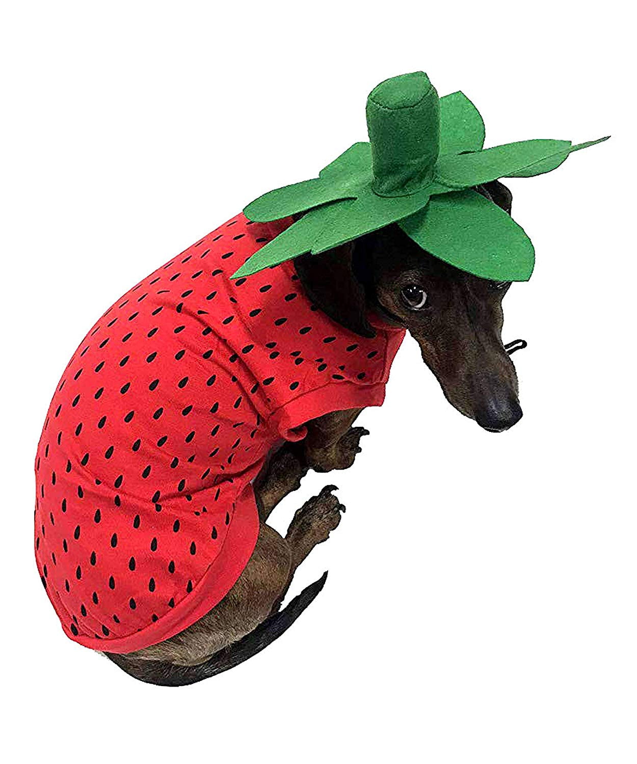 Midlee Strawberry Dog Costume
