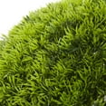 thumbnail image 5 of 22" Round Topiary Artificial Foliage Ball, by DecMode, 5 of 12