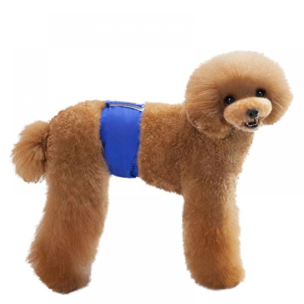 dog belly band walmart
