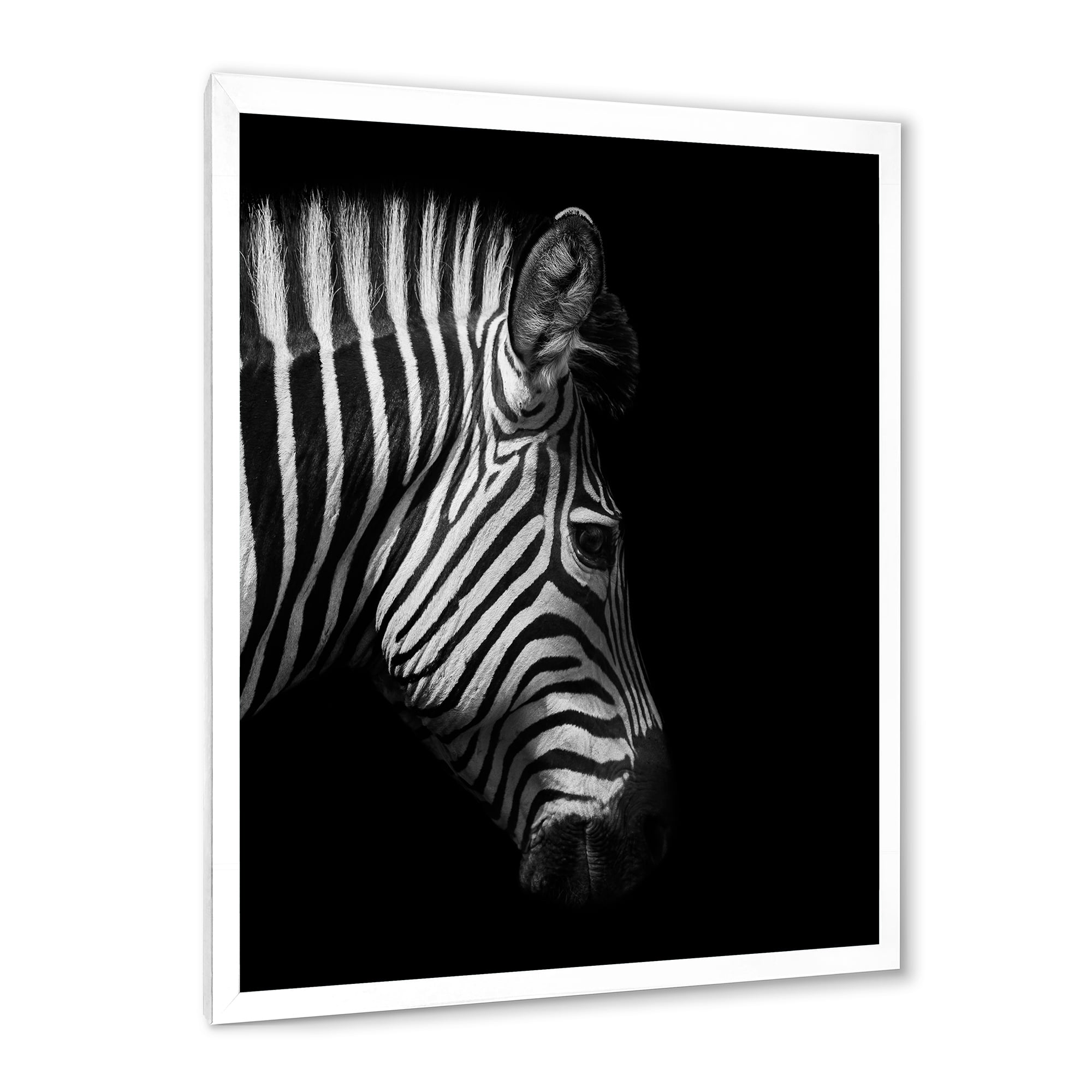 Designart 'Black and White Portrait of Zebra Head' Farmhouse Framed Art Print