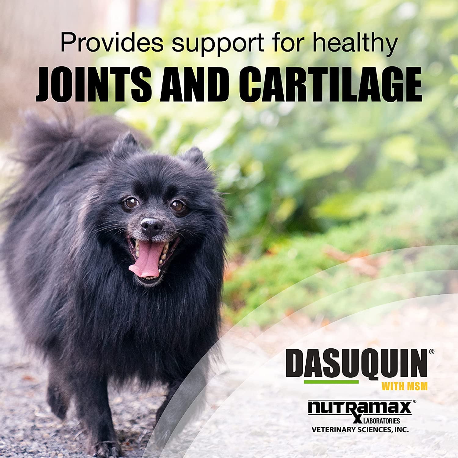 Nutramax dasuquin with msm deals