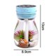 thumbnail image 5 of Mini humidificador, humidificador pequeño, humidificador bonito, humidificadores de coche, humidificador de aire, humidificadores de niebla fría para dormitorio, niños, escritorio de oficina, 5 of 5