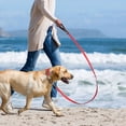 thumbnail image 6 of Pet Artist Classic Quick Released Leather Dog Collar and Dog Leash Set 4.5FT for Small Medium Large Dogs, 6 of 7