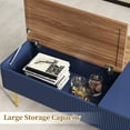 thumbnail image 4 of HLR 47"W Modern Lift Top Coffee Table with 3 Large Storage, Center Table for Living Room, Navy Blue, 4 of 8