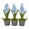 thumbnail image 1 of Nearly Natural 8641 Triple Potted Hyacinth Artificial Plant, 1 of 1