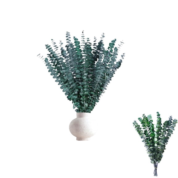 HYG Hanging Dried Eucalyptu Branches,Pack of 20 Portable Dried Natural Branches for Vase,DIY Plants Decor for Home,Bathroom Decor