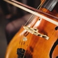 thumbnail image 4 of RENACLIPY Matériel de Violon Cuivre Silencieux pour Réduction de Bruit Design Compact 1Pcs, 4 of 6