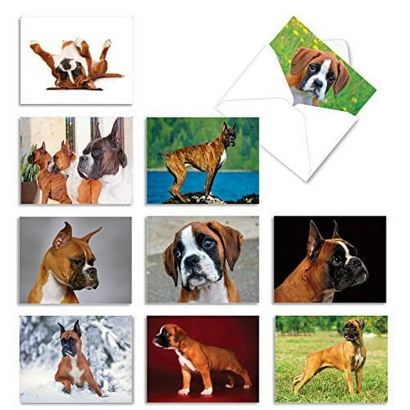 10 Blank All Occasion Cards Assorted - Best Packers