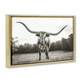 thumbnail image 4 of Stupell Industries Longhorn Licking Lips Animals Photography Gold Floater Framed Canvas Art Print Wall Art, 31 x 21, 4 of 10
