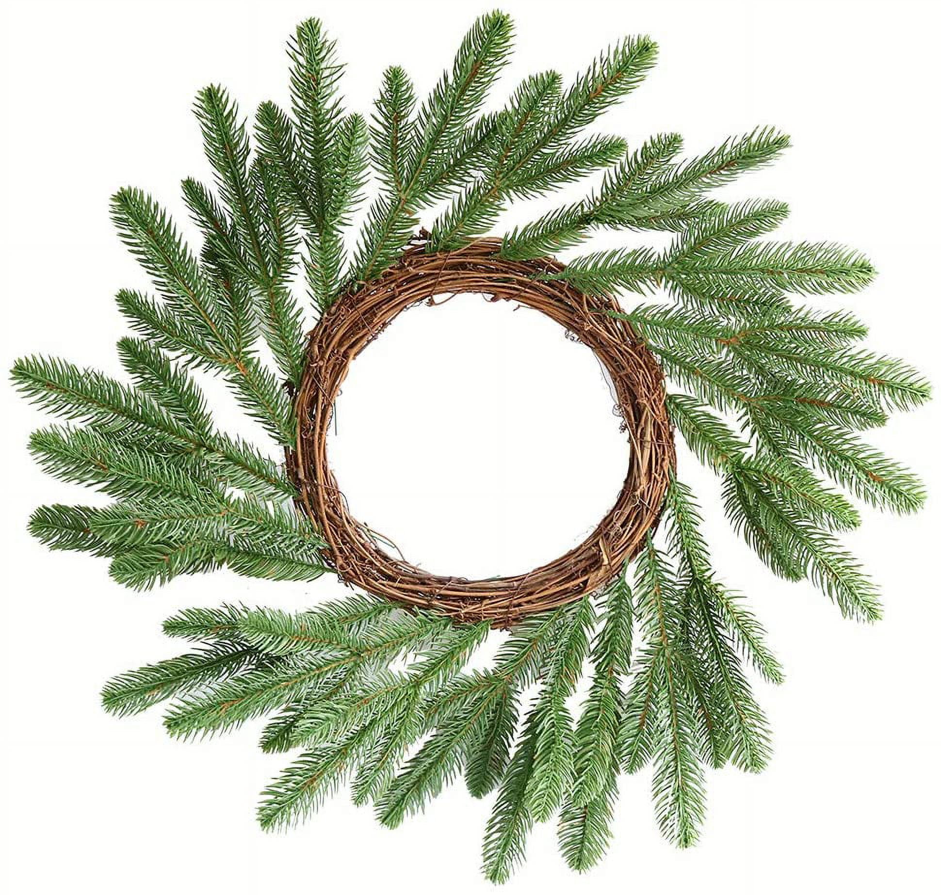 20pcs Artificial Pine Branches Faux Leaves Picks for Christmas Decor DIY Wreath (Pine Branch)