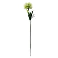 thumbnail image 5 of TINGXIN 10 Bundles Artificial Dandelion Plants Bouquet White for Wedding Home Hotel Decor - Dandelion Plants, Artificial Dandelion Bunch, 5 of 9