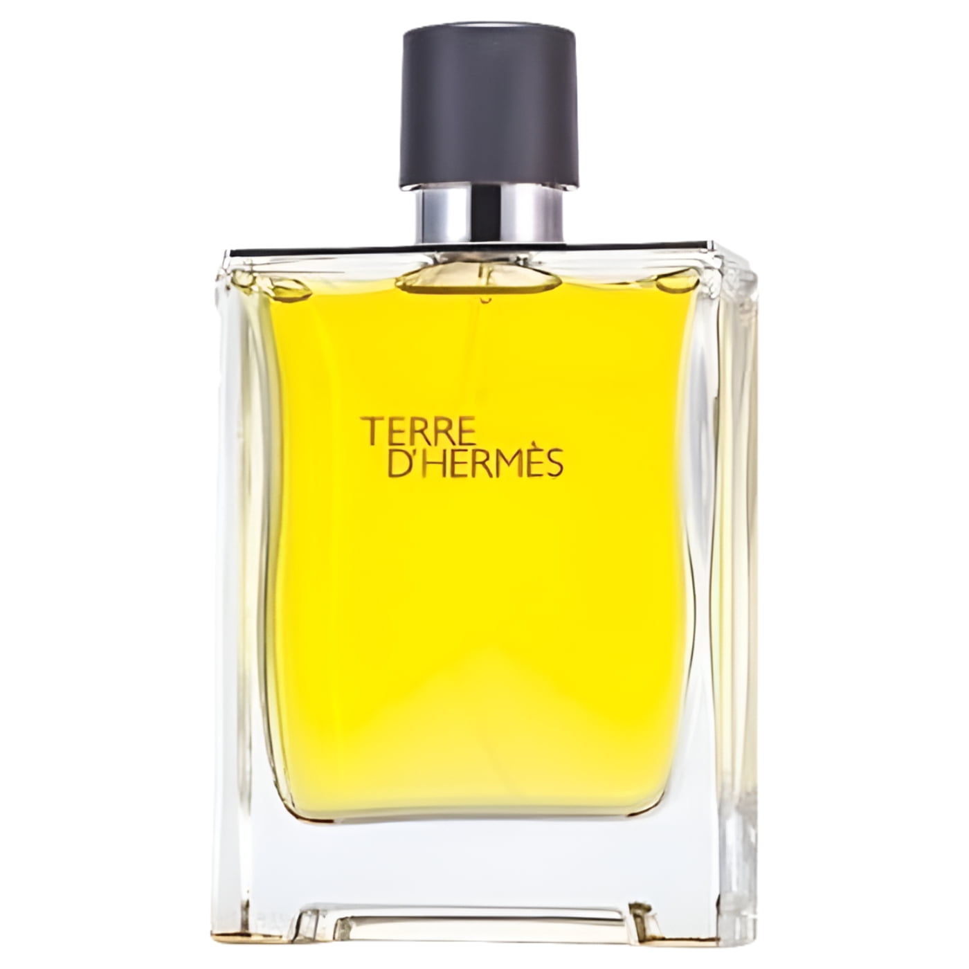 HERMÈS TERRE D'HERMÈS Terre d'Hermes Parfum - 2.54 fl.oz | Hermès USA