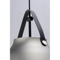 thumbnail image 4 of Maxim 11356BKBP 14 in. Nordic 1 Light Black & Brushed Patinum Single Pendant Ceiling Light, 4 of 5