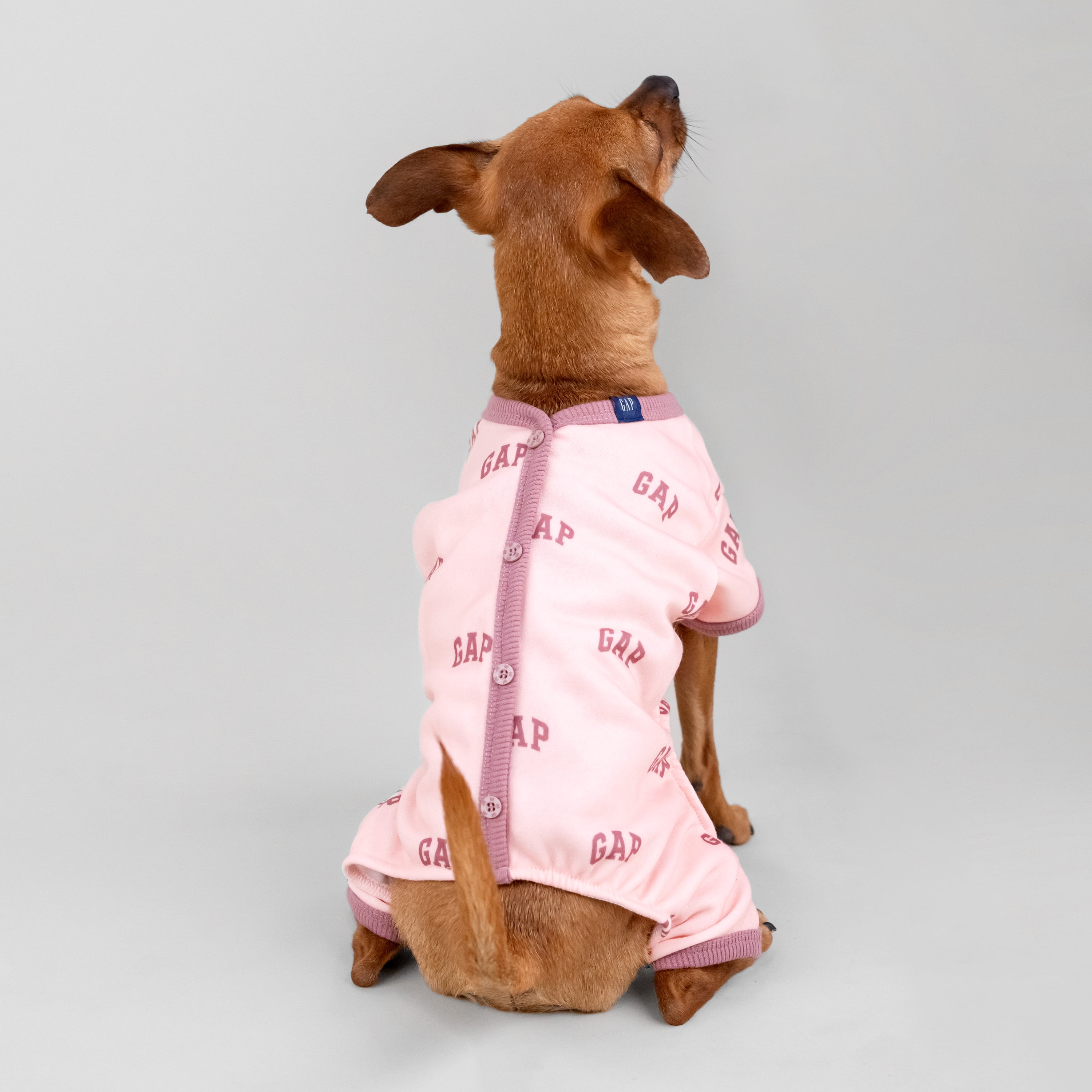 GAP PET★新品タグなし☆DOG用パーカー★XSサイズ★ピンク★新品タグなし GAP PET☆新品タグなし‼️DOG用パーカー☆XSサイズ☆グレー