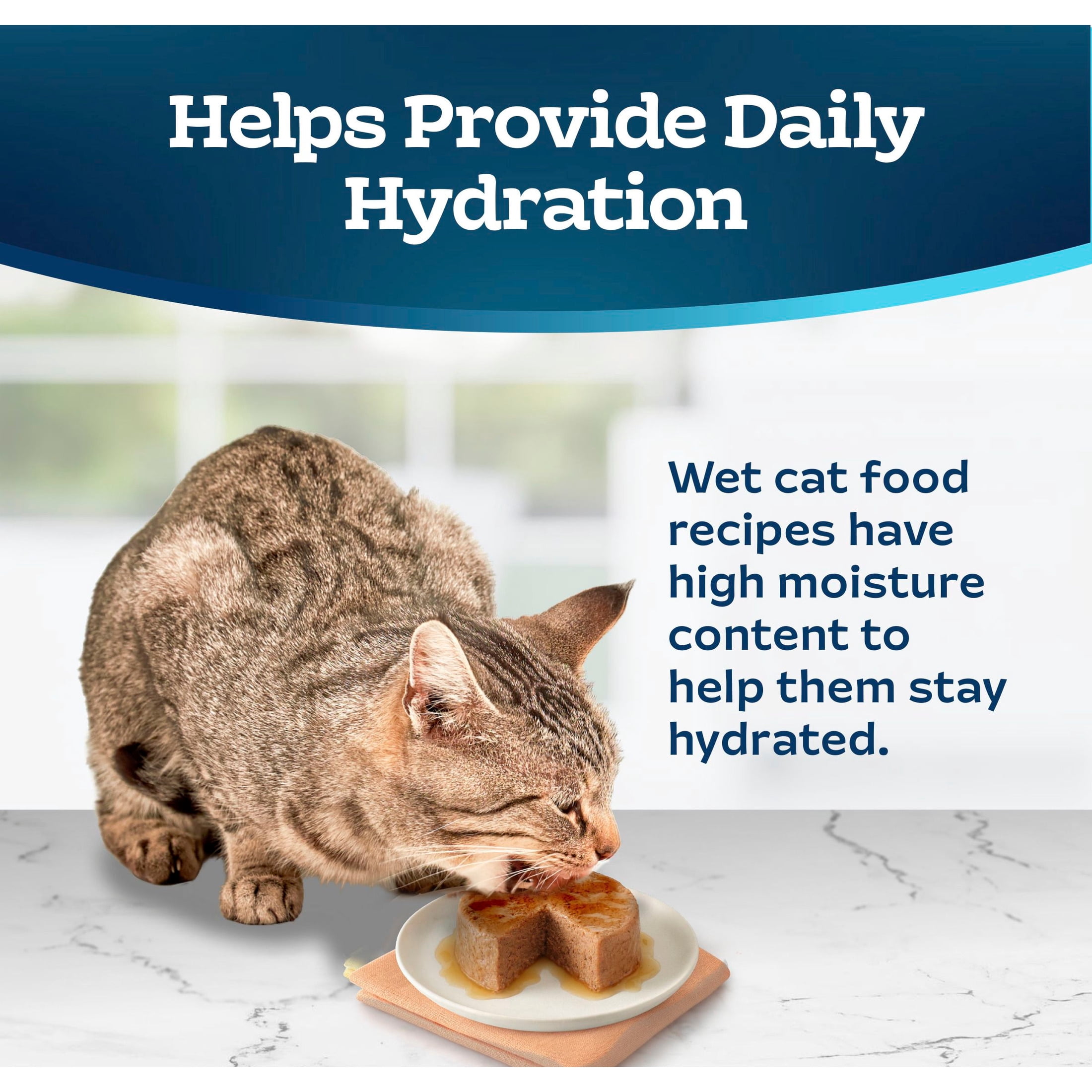Blue Buffalo Tastefuls Wet Cat Food Paté, Made with Natural Ingredients, Salmon Entrée, 5.5-oz. Can