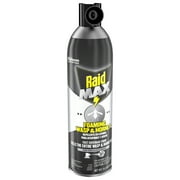 Raid MAX Foaming Wasp and Hornet Killer, Fast Coverage Outdoor Foaming Spray, 16.5 oz