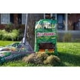 thumbnail image 4 of Scotts Turf Builder Enriched Lawn Soil 25L, 4 of 5