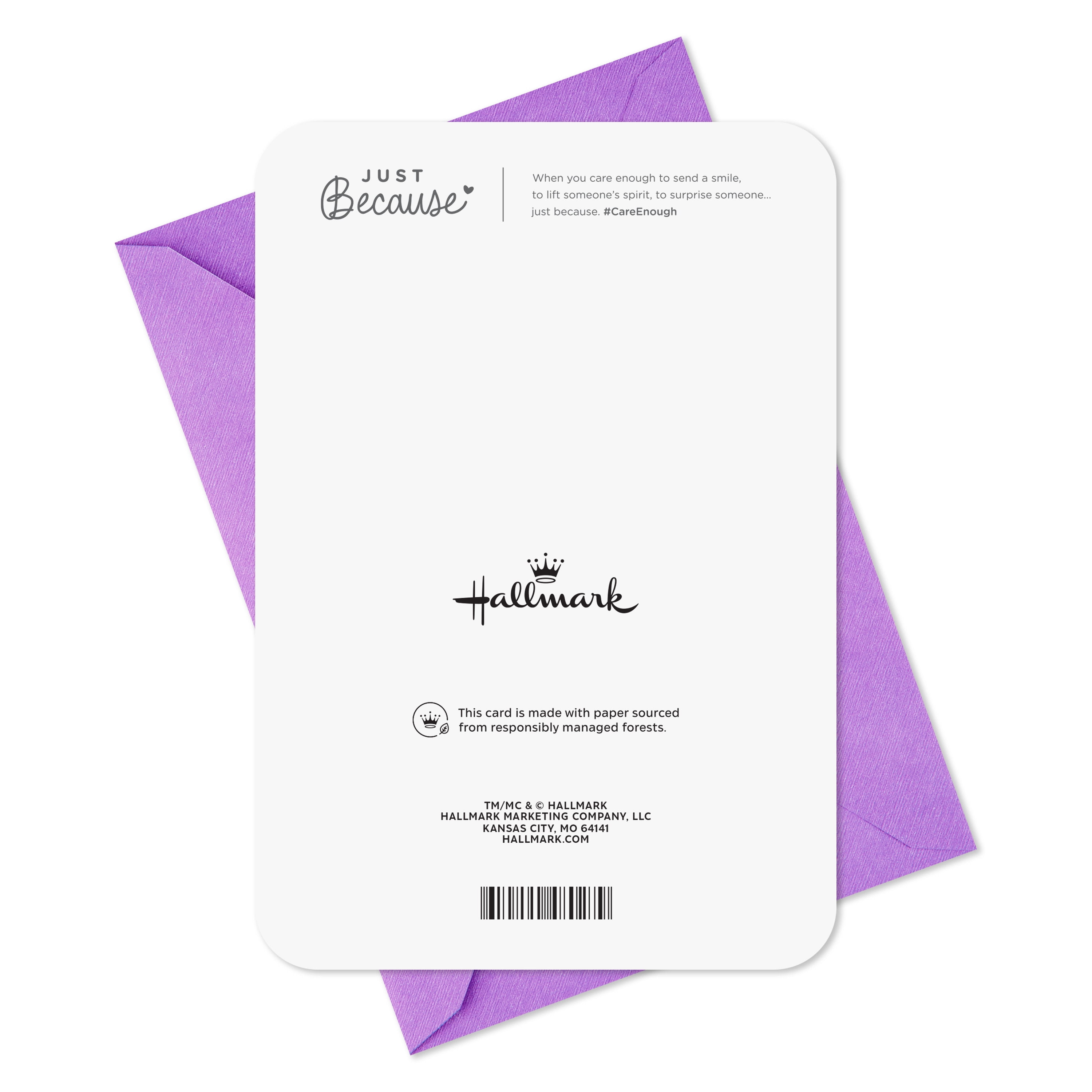 Hallmark Just Because Thinking of You Card (Floral Butterfly)