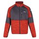thumbnail image 1 of Regatta - Polar Coladane II para Hombre (Naranja Cajún, Rinoceronte), 1 of 4