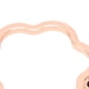 thumbnail image 3 of 5 Unids Sello de Cera Moldes de Oro Rosa de Aleación de Zinc Ahorro de Tiempo Fácil Operación Sello de Cera Anillos para 0.98in 1.18in Sello, 3 of 8