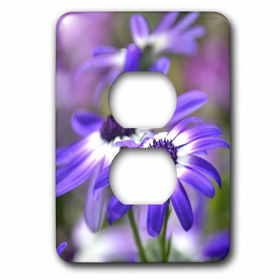 3dRose, Purple and White Spring Flowers- Floral Photography, 2 plug outlet cover