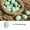 Mint Green, variant on Unfinished Smooth Wooden Eggs, Solid Wood Fake Eggs for Easter Decorations, DIY Craft Projects, Painting, Kitchen & Farm-Themed Party Supplies (1 PC, Green)